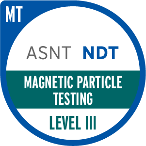 36. badge magnetic particle